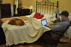 Dog and husband hanging out in our new bedroom/my office. Yes! After 9 months of moving our bed from laundry room to old playroom to new playroom--as our great contractor Ben remodeled our basement. Our new bedroom has a door! A door! Woohoo!