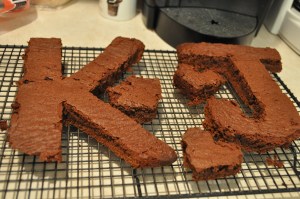 Judy and Kelly, our international daughters, have been home with their parents for almost a week now. Em made these brownies for them  just before they left. Love you, girls!