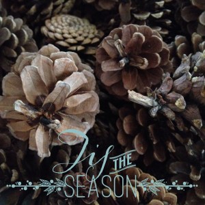 This is Emily's creation, who both took the pic and added the graphic. using the app Rhonna. Merry Christmas, everyone.