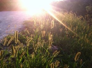 536224_10202174906961243_2094760043_n