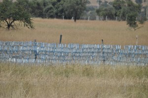 I took this pic in Kenya last summer. Those are discarded water bottle woven into a wire fence. Very creative!