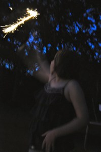 I took this shot the other night when the kids were doing sparklers. 