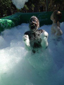 This is PJ (my youngest) exulting in the bubble pool at the Birmingham, AL, zoo last week! 