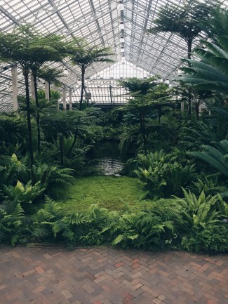 Processed with VSCO with hb1 preset