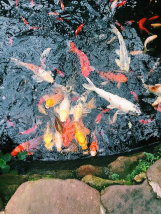 Processed with VSCO with c1 preset