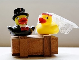 b7755749-434d-4288-a1e9-806b6ee57074_1.6e6b8ba050dc9d5a2d8ef42b12758831