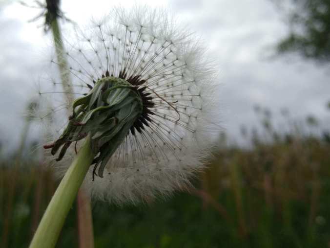 IMG_20200513_155806919